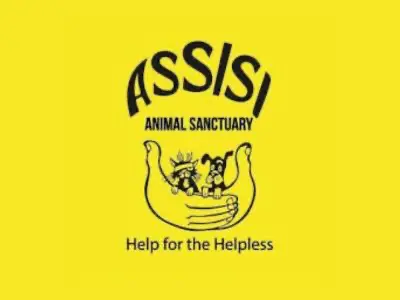 Assisi logo - UK dog rescue charity