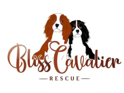 Bliss Cavalier Rescue logo