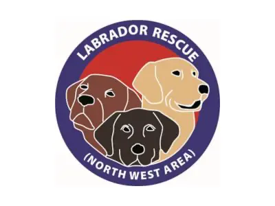 Home A Labrador logo