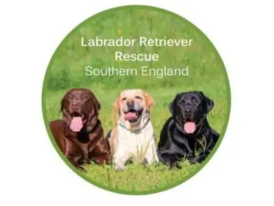 Labrador Retriever Rescue logo
