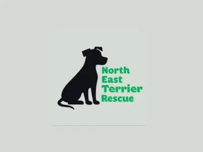 North East Terrier Rescue logo - UK dog rescue charity