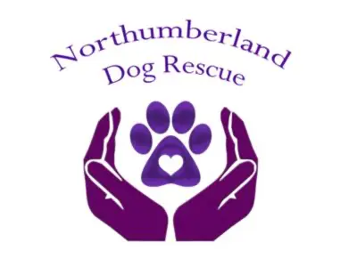 Northumberland Dog Rescue logo - UK dog rescue charity