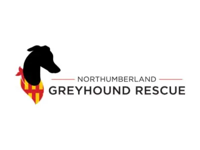 Northumberland Greyhound Rescue logo - UK dog rescue charity