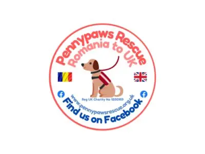 Pennypaws Rescue logo - UK dog rescue charity