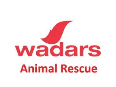 Wadars logo - UK dog rescue charity
