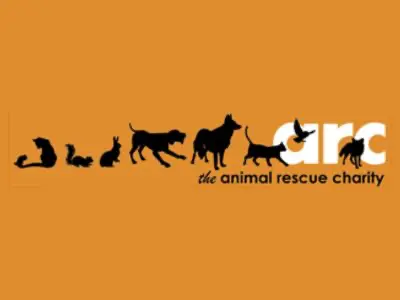 Barnsley Animal Rescue - UK Dog Rescue Charity | Rescue Finder